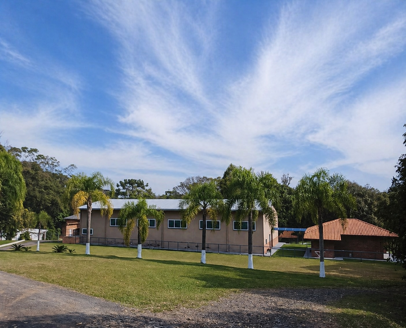 Colmeia Real — Produção de mel em Prudentópolis, PR